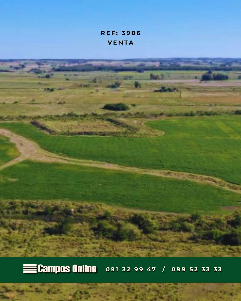 camposonlineuru's tweet photo. Por más información visite: 💻 Referencia 3906 en https://t.co/FSEirOLPKD      

O contáctenos: 📩  
 
🌱Inmobiliaria Rural Campos Online Uruguay 🇺🇾 https://t.co/lEWr4DEnah