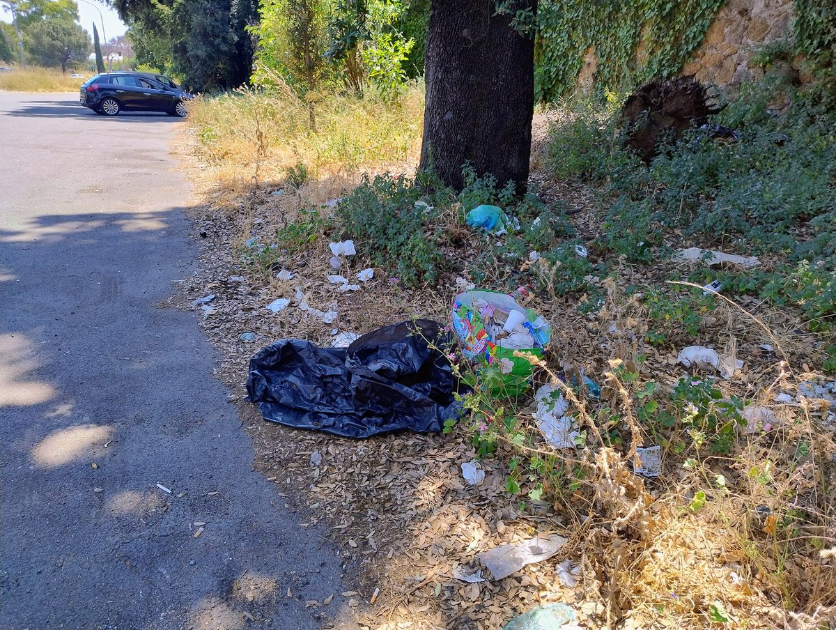 sa_ga13's tweet photo. Complanare Via Appia Nuova fronte Ippodromo di Capannelle @Roma sede di svariati negozi e attività: un lordume da sempre vergognosamente dimenticato da #Ama @Sabrinalfonsi @gualtierieurope @Antincivili @battaglia_persa @salviamoroma @diarioromano @RiprendRoma @romafaschifo https://t.co/TFZ4ImINHO