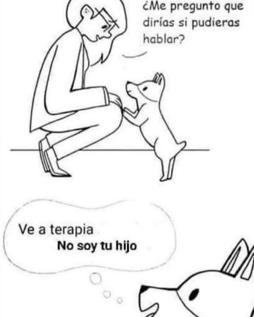 ogt9901's tweet photo. @EsdeProfugos Los que dicen eso son los mismos que pretenden humanizar a sus mascotas "Perrijos" . https://t.co/5B6duc7swz