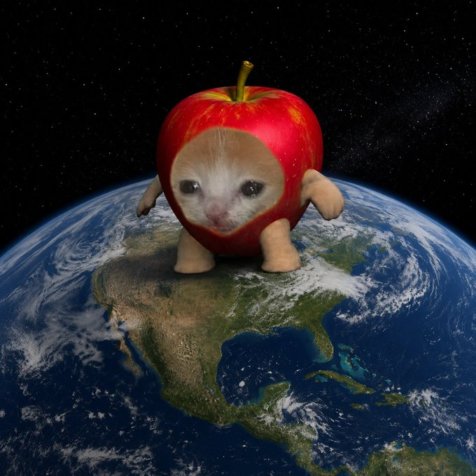 MisterHcrypto's tweet photo. I can smell the apple in the air 🍎🐈

Everyone already love the cat

Now that the artist launched it himself and is actively creating art for it, vibing, locking supplies and having fun

We are about to see what a legendary true cat + true meme can do

Official Apple Cat https://t.co/RqbESeaVvB