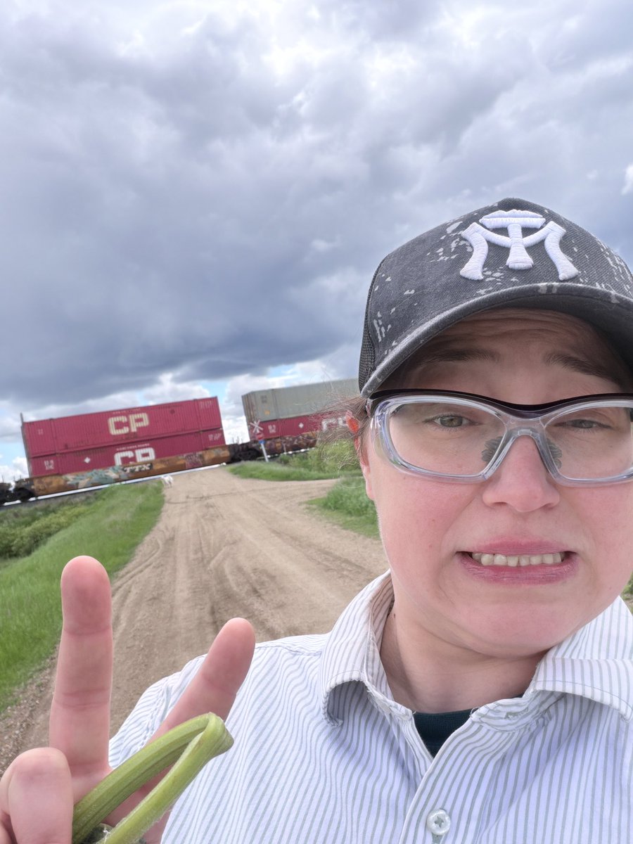 Jadieco's tweet photo. @CNRailway what’s up with train near McLean? Hasn’t moved all day… since 730ish am. https://t.co/UTxpv3k5kv