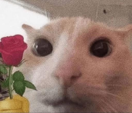aka_liss's tweet photo. Vim publicamente anunciar os meus parabéns para a DIVISSIMA @duchesskalliope que iniciou mais um ciclo de vida hoje

Te amo gata, que venham muitos mais pra eu te infernizar em cada um deles 😘 https://t.co/JJ0JZuLLQi