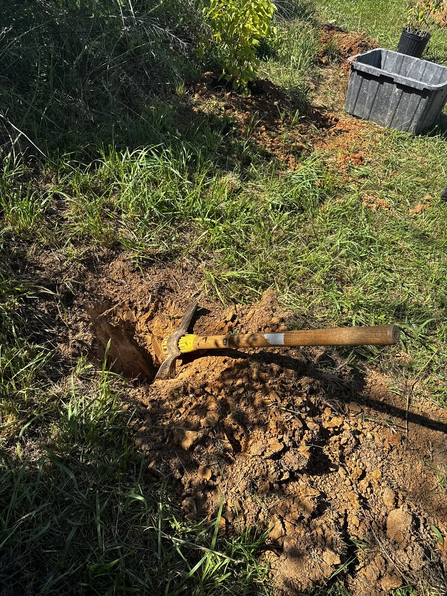 Vipey333's tweet photo. Men make this look way too easy 😭😂

I officially dislike pickaxing butttt I got the hazelnut trees in the ground 🫡💪🏻🪾 https://t.co/5eZK21cFH5