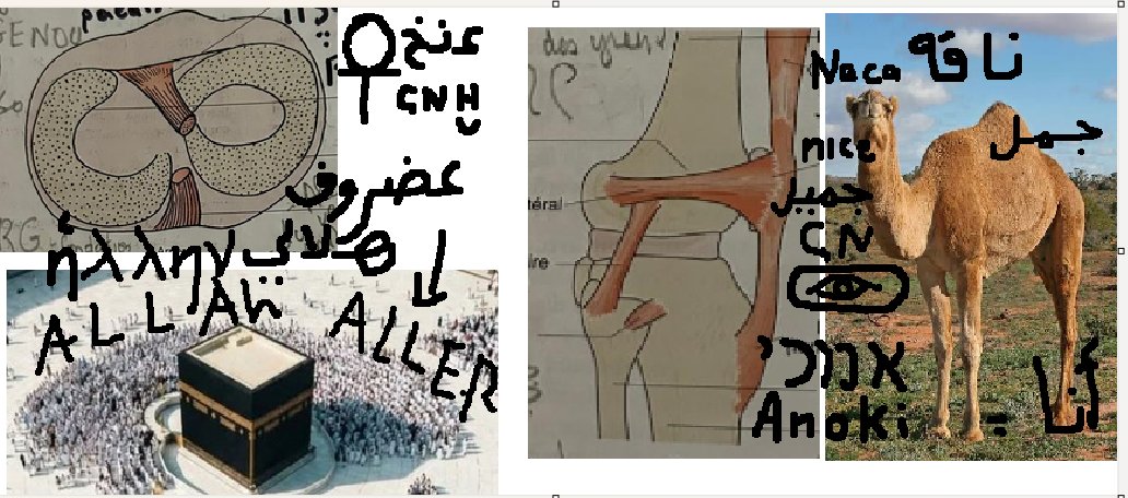 وكتب tweet media
