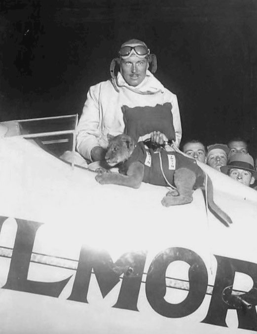 arrel's tweet photo. Roscoe Turner, a celebrity aviator around the time of Amelia Earhart, would fly with this pet lion, Gilmore. Gilmore logged over 25K miles on the air before he outgrew the cockpit (at 150lbs). https://t.co/eapjGCfRUo