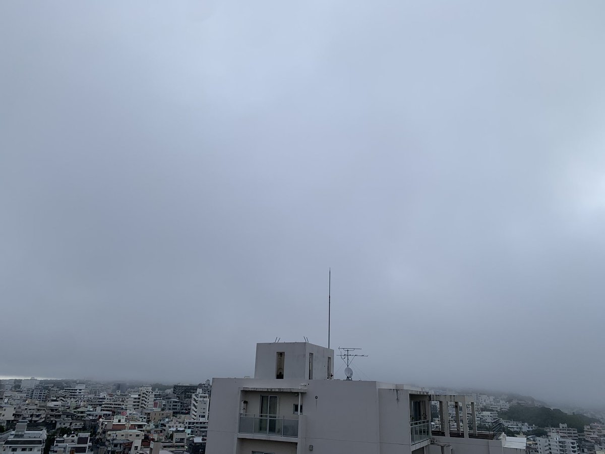 chieko01050728's tweet photo. 6/18(木)「あなた自身から全ての可能性はやってくる」
未来の選択肢や新しい可能性は、誰かから与えられるものではなく、常に自分自身の内なる意識や決断から生まれます。
【アデニウム】花言葉「純粋な心」
太くしっかりとした幹に美しい花が咲きます。 https://t.co/IteQgJ3szy
