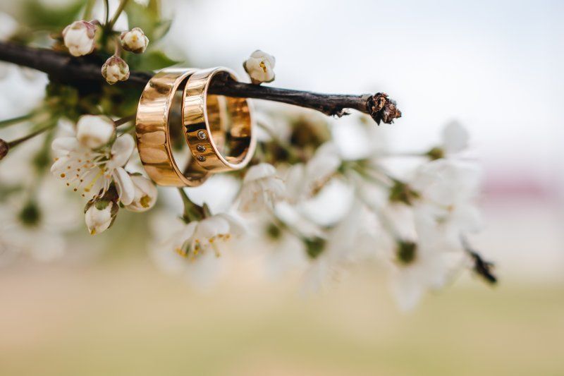 junoinsure's tweet photo. 🛡️ Don't leave your precious pieces vulnerable to loss, theft or damage. Insure them to ensure they're protected for years to come. Visit https://t.co/wxI4eLEvF0 #JewelryProtection #PeaceOfMind https://t.co/S14tgfQaUJ