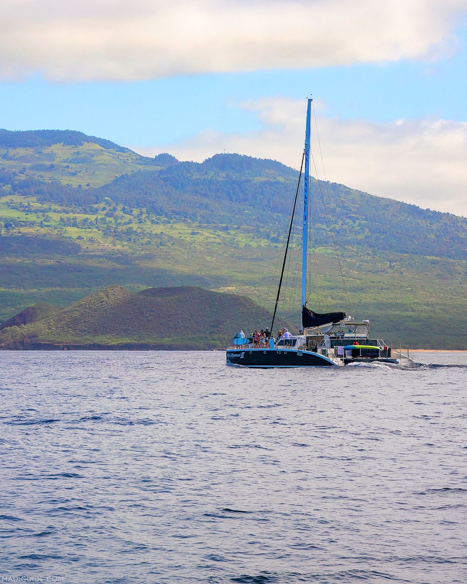 Maui's tweet photo. For a classic South Maui ocean adventure, @kaikananimaui snorkel trips are hard to beat. 

From Maluaka Beach in Mākena, you'll head out to explore clear water, coral reefs, tropical fish, and sometimes honu or humpback whales during the winter season. https://t.co/55LVz2omCd https://t.co/ONlrEgkFOv