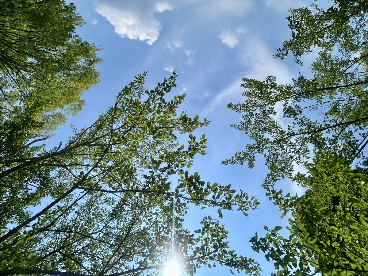 midnight_glay's tweet photo. おはようございます✨🌿 https://t.co/TmTZGJuJag
