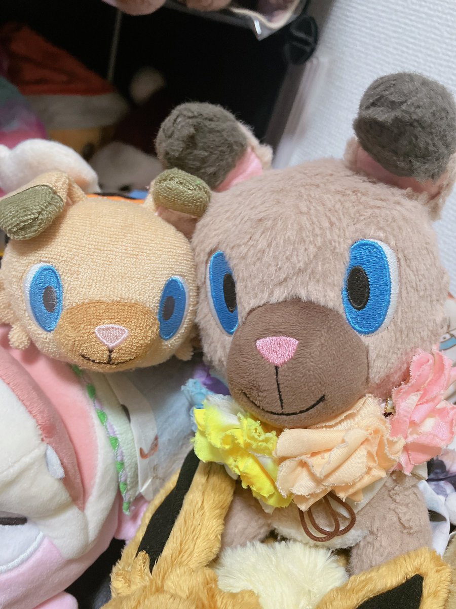 tier1kun's tweet photo. つぎいつあえるかな❓🐶🐶🐶🐶🐶
あしたかな❓あさってかな❓🐶 https://t.co/IJKCZaMgW6