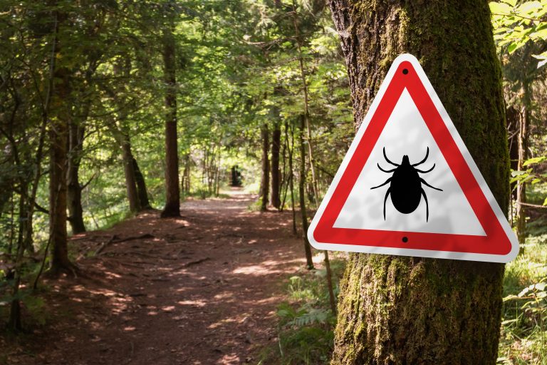 CityofSprout's tweet photo. Hey City of Sprout, warmer days are here and so are ticks &amp; mosquitoes. Check out this resource on how to protect yourself: https://t.co/xEUMQWHpUQ https://t.co/7Hr30Y6SNF