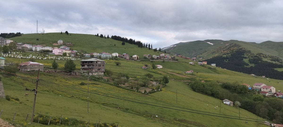 Beyneminel's tweet photo. Giresun yaylaları https://t.co/hnwZprEr6K