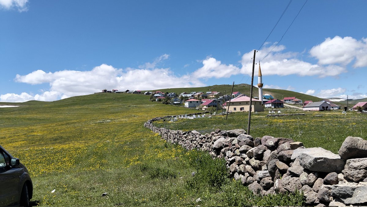 Beyneminel's tweet photo. Giresun yaylaları https://t.co/hnwZprEr6K