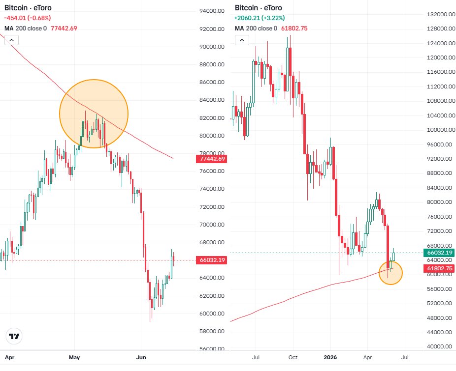 eToroUS's tweet photo. $BTC is trying to stabilize after getting smacked around by macro, ETF flows and risk-off headlines.

Can Bitcoin hold support and rebuild momentum, or was the bounce just another, lower high?

Crypto needs $BTC to stop wobbling first. For now, it’s stuck between the 200-DAY and the 200-WEEK moving averages.