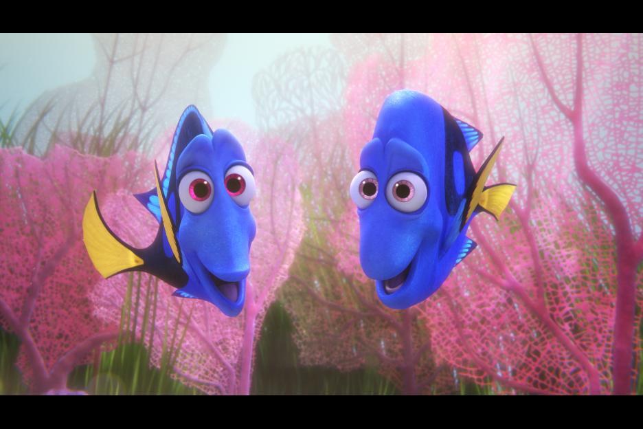 SophieTucker88's tweet photo. A Very Happy 10th Anniversary to Disney Pixar's Finding Dory! #2010sMovies #3DAnimation #FindingDory #FindingNemo #Pixar #Disney https://t.co/YA2jT4djQS https://t.co/y330tFxJW4 https://t.co/v3cQcCRl56 https://t.co/wfIt4FY5VR