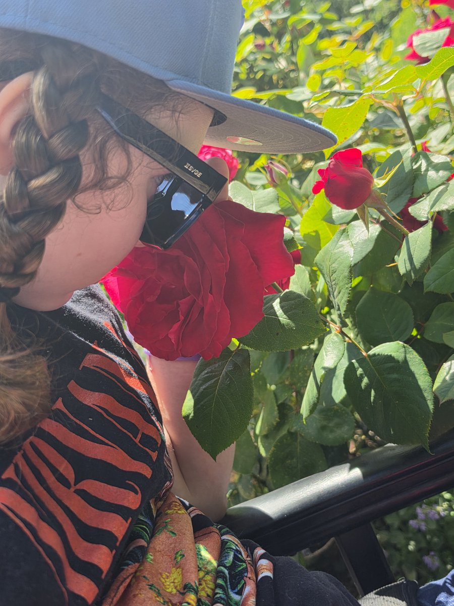DavidGebala's tweet photo. Spending a peaceful afternoon at VanDusen Botanical Garden, soaking in the sights, the vibrant flowers everywhere along with the beautiful trees ❤️ https://t.co/WVQjjMogQV