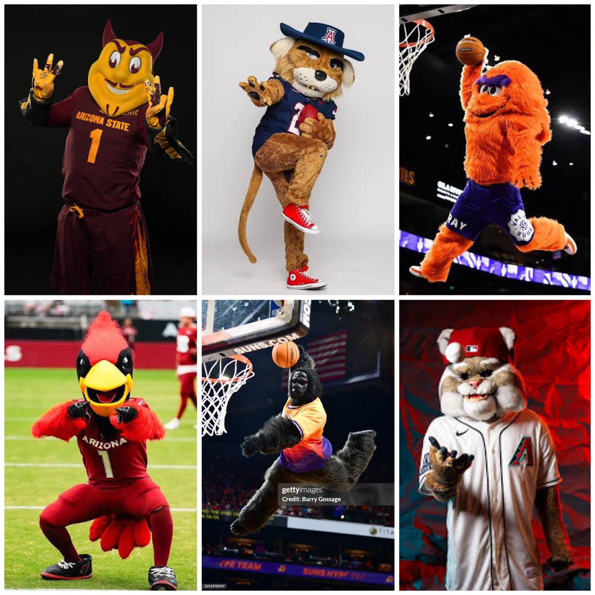 Espo's tweet photo. It’s National Mascot Day. 

Which of these AZ mascots win in a battle? https://t.co/StrSfzYSda
