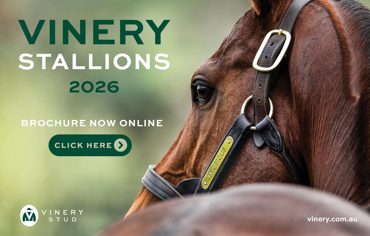 TTRAusNZ's tweet photo. 🟢 @VineryStud 2026 stallions 🟢

📚 Brochure now online!

https://t.co/R5Zzla7FIw https://t.co/yCL87QMbVm