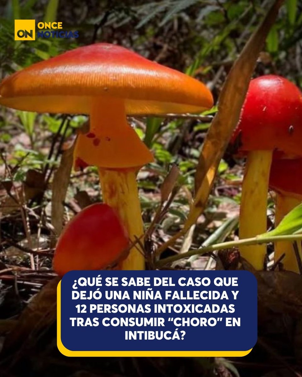 11_Noticias's tweet photo. 🟡 |⚠️🏥 Mientras los pacientes permanecen bajo observación médica, expertos buscan confirmar qué provocó la tragedia que enluta a una familia hondureña.
Detalles aquí:
https://t.co/W9f1SG9PLI
#Tragedia #Choro #Intibucá #Honduras #Tradición https://t.co/WJ997wQGGf