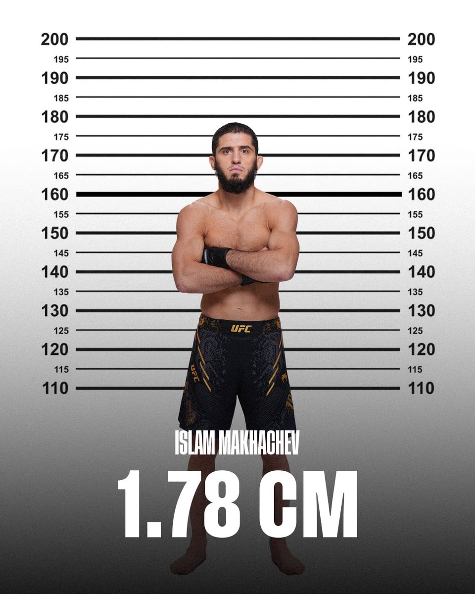 Fight Digitale tweet media