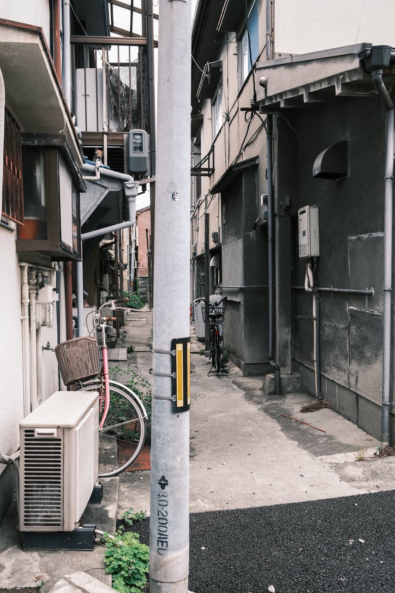 小林哲朗 写真家 tweet media