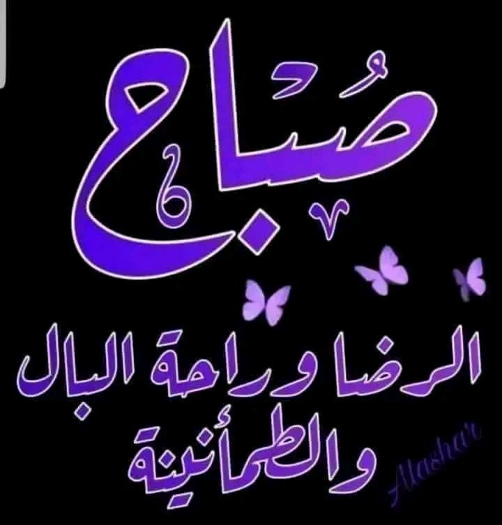 qrdn15's tweet photo. @ZahraZ52185 https://t.co/mjww2j8g0A