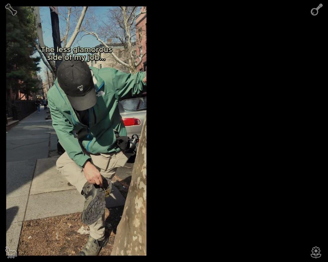 TheRealCbake's tweet photo. Elara noticed a tiny woodpecker perched vertically on a hemlock trunk, its sharp beak tapping quickly against the coarse bark to find hidden insects. Its steady, rhythmic actions demonstrated the efficient and persistent nature of wild woodland creatures. https://t.co/pAO7NYzzZv