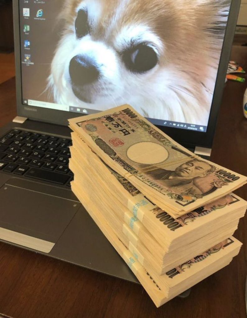 めい🐶 tweet media