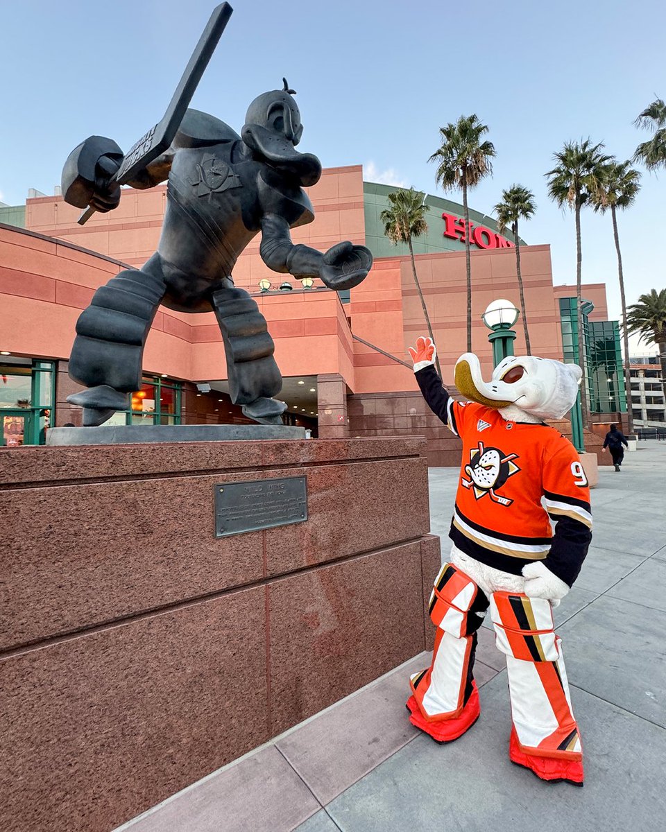 DucksNPucks's tweet photo. Happy #NationalMascotDay day to the very best in all of sports.  @WildWingANA

#Changemymind https://t.co/8HSxvU94qd