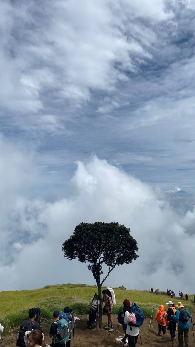 leimerzy's tweet photo. mburi omahku lho akeh uwit, kok do antri ng kene ngpo yo🤔 https://t.co/5tJoN33elA