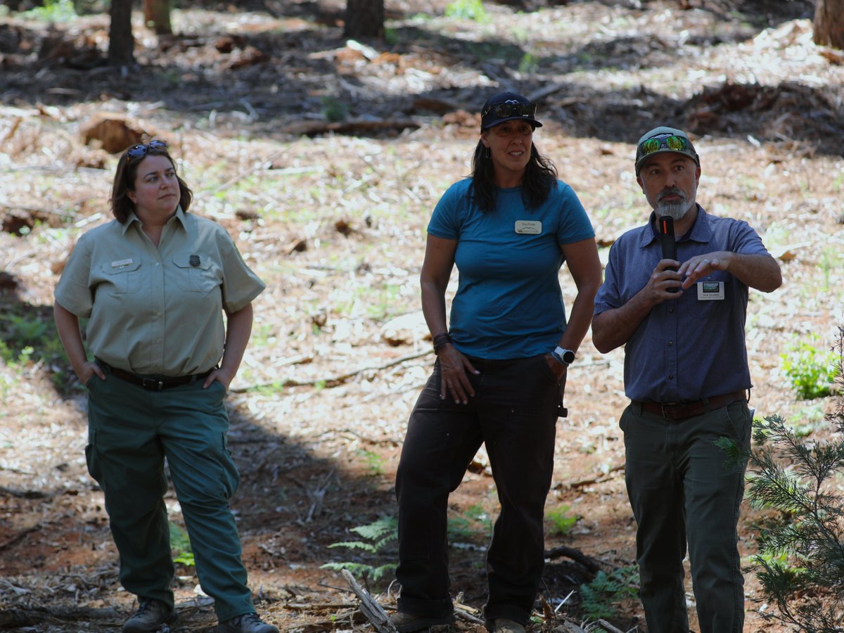 CAsWatershed's tweet photo. The SNC Board approved nearly $1.5 million for new #Wildfire resilience projects in Nevada and #Mariposa counties to help reduce wildfire risk and protect communities. Learn more: https://t.co/3uMheNjMy1 #WildfireResilience https://t.co/nbBqQxCDyw