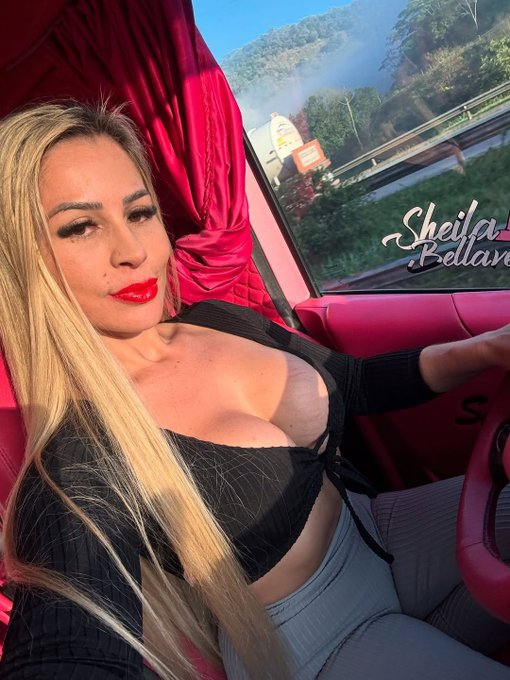 Sheila Bellaver Br tweet media