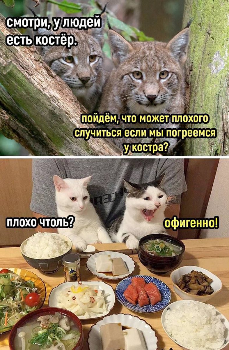 ptnhlo4vr tweet picture