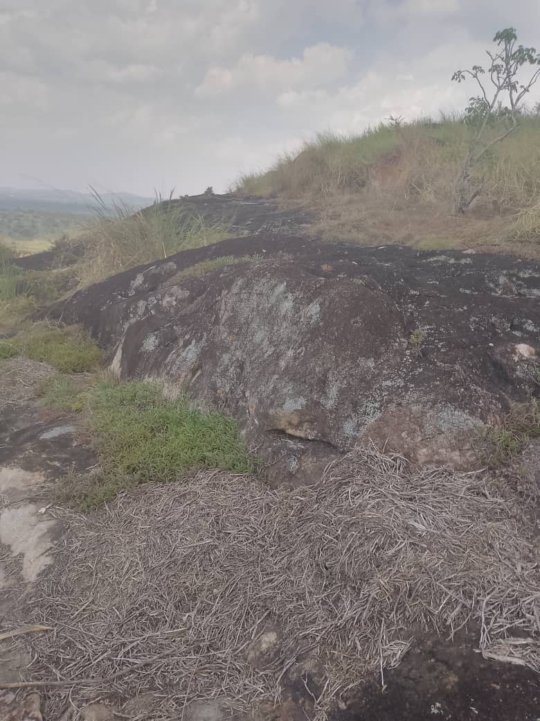 Jspropetyestete's tweet photo. 17 ACRES OF GRANITE ROCK LAND 
 ON SALE

SELLING PRICE 
130M PER ACRE
LOCATION 
ZIROBWE -
Nambi 

TENURE 
Private mailo land title 

■4kms off tarmac
■3phase electricity

📱 *📲☎📞* 
FOR MORE INFORMATION 
call or WHATSAPP....
0742097811
0781284033 https://t.co/eUssPKYNXn