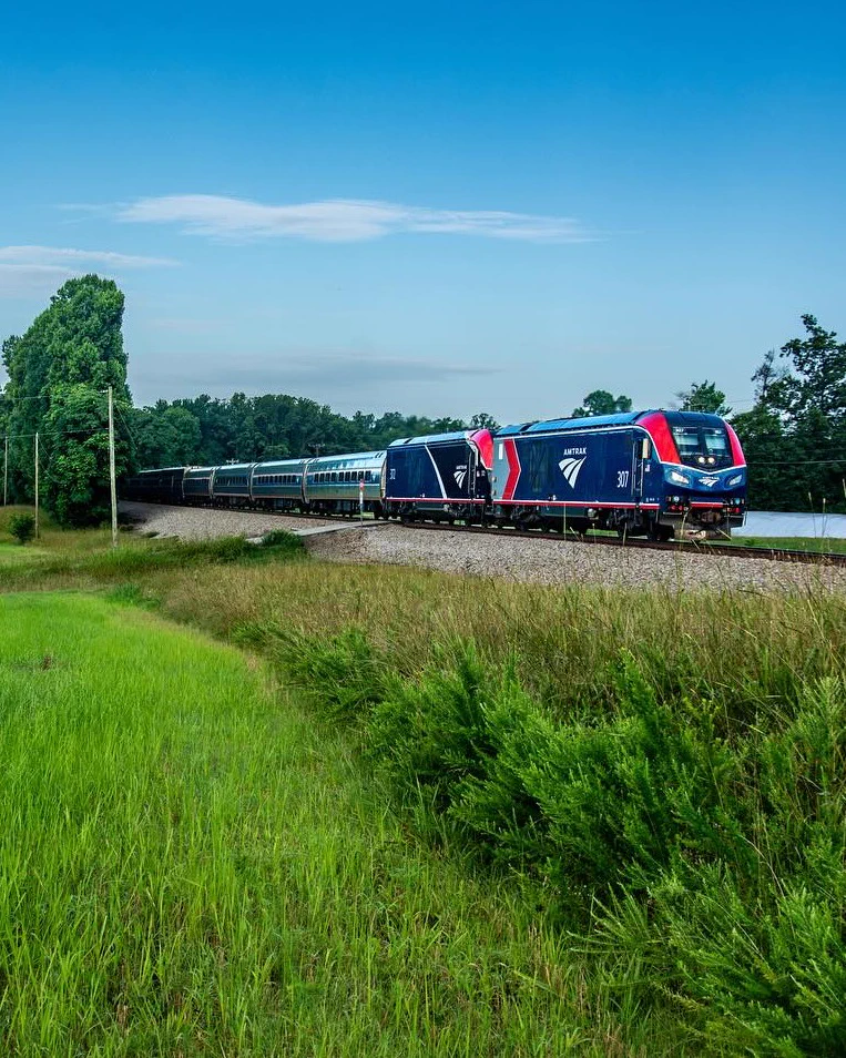 An Amtrak train with the blue and red Charger livery travels right along tracks through green fields and trees under a clear blue sky.