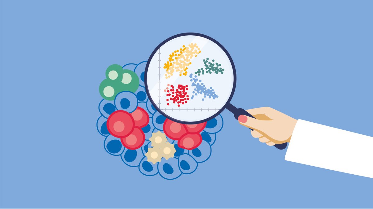 QIAGENBiox's tweet photo. What can researchers learn from 100M single cells? 🤔 Join Johnny Yu from Tahoe Therapeutics and Britt Flaherty on June 30, and let's explore how #singlecell atlases and #AI are reshaping #drugdiscovery ➡️ https://t.co/kEPPpBjnAI https://t.co/YwAmVRylWL