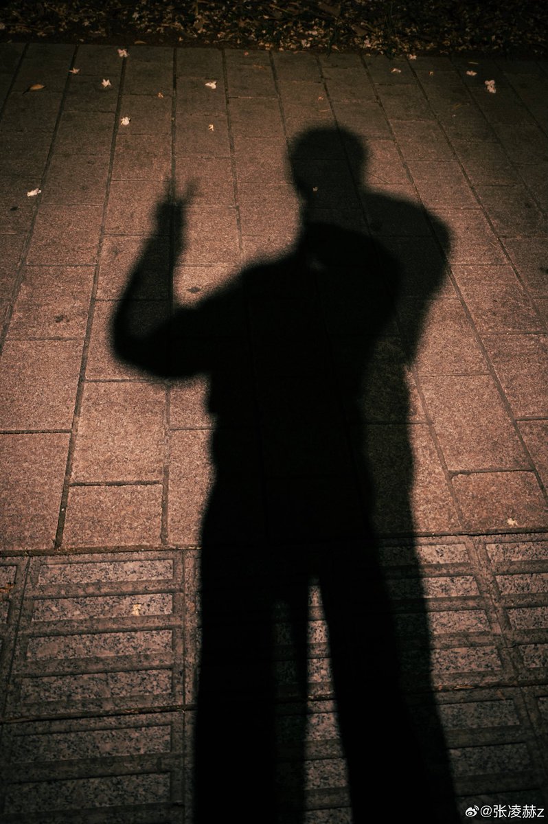 linghetao's tweet photo. skyline timelapse, night stroll, shadow picture. someone’s romanticizing life tonight

#zhanglinghe https://t.co/5eFa9HCalt