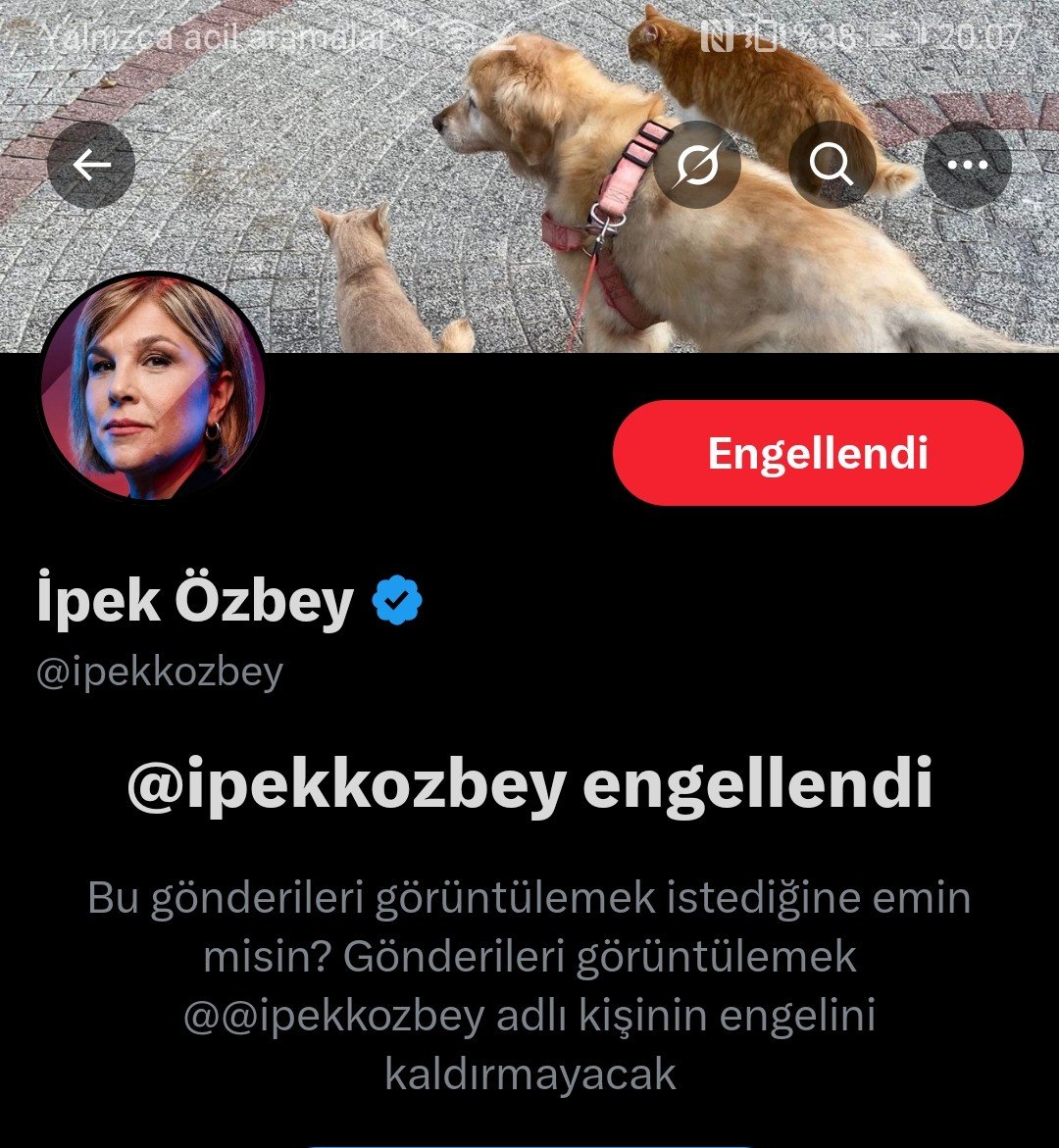 Cem Ceren tweet media