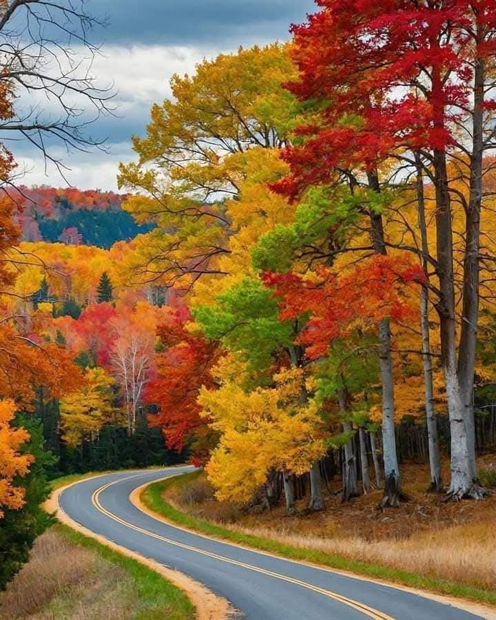 Nature Lover🌎 tweet media