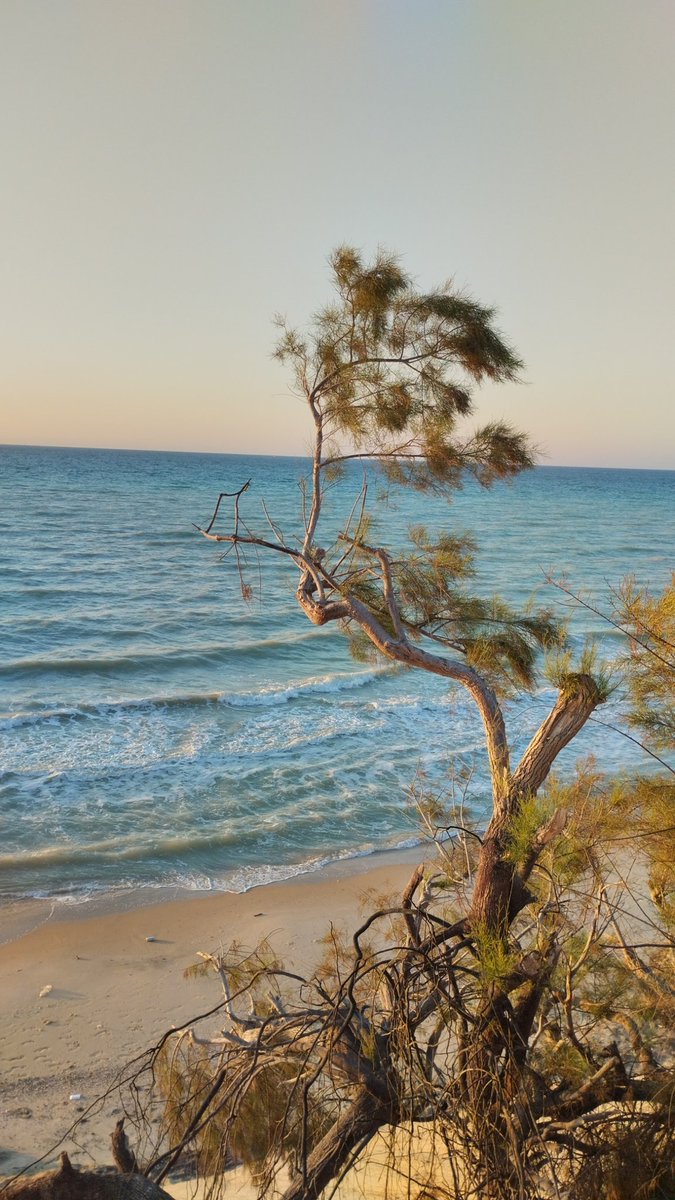 Rooadel132's tweet photo. Today I walked 🫡
 New spots 🥳 https://t.co/9f2DFToyYG