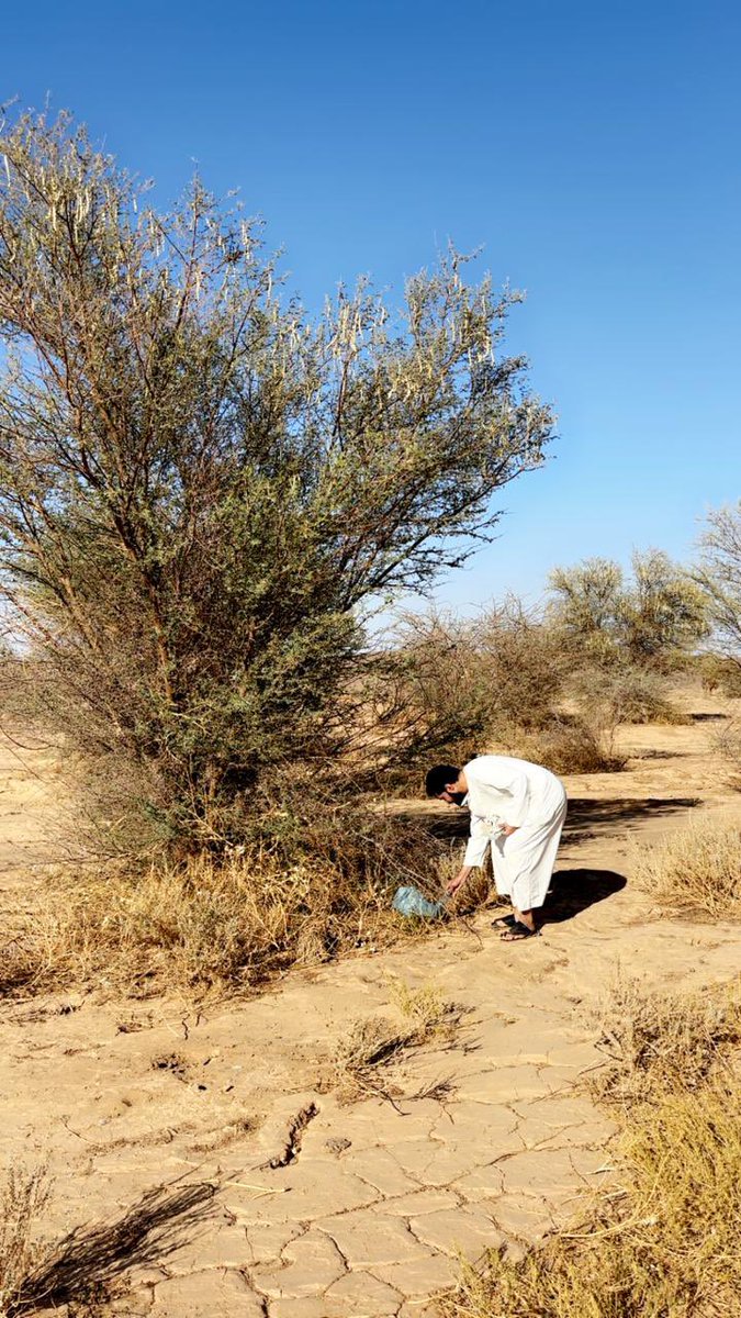 Env_life's tweet photo. أعمال متابعة نهائية للمبادرة.
أ. عبدالله الجهني 
أ. سليم الجهني
أ. محمد العنزي 
#تبوك_الخضراء 
#جمعية_حياة_البيئة  #مبادرة_السعودية_الخضراء  #تبوك #اليوم_العالمي_لمكافحة_التصحر_والجفاف #SGI #DesertificationAndDroughtDay #CombatDesertificat
1️⃣4️⃣
@alm7nds2005 
@ec36vvkDTCUHn3d https://t.co/PKinJOLgS1
