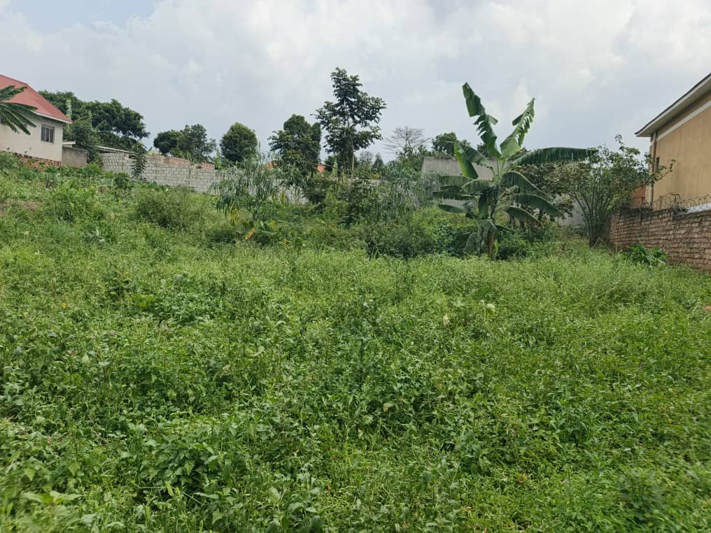 Jspropetyestete's tweet photo. QUICK SALE 
38 DECIMALS 
TITLED LAND 
  FOR SALE 

 LOCATION 
SEETA -NAMIRYANGO 
 OFF JINJA RD 

■serene environment
■power and water at site

SELLING PRICE 
125m UGX 

📱 *📲☎📞* 
FOR MORE INFORMATION 
call or WHATSAPP....
0742097811
0781284033 
0702605562 https://t.co/qXaVF1gIKH
