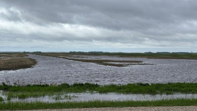 MBGovAg's tweet photo. Excess rainfall in parts of Manitoba means crop assessment will be needed as water recedes.
Find guidance on assessing excess moisture impacts at https://t.co/A3pEFcTWsM. https://t.co/h31IufcUOE