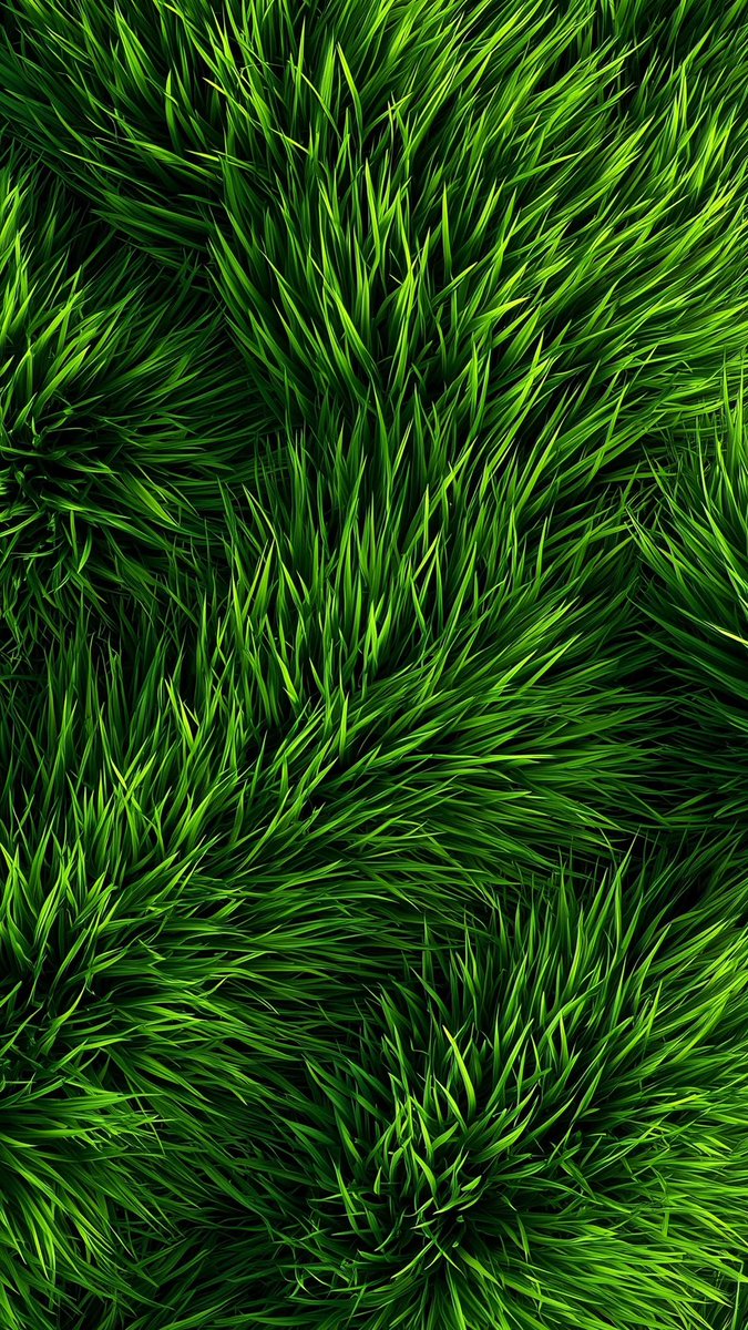 wallpaperscapes's tweet photo. 4K Wallpaper for iPhone    
#Wallpaper #art #iOS26Wallpaper #iPhoneWallpaper #nature #NaturePhotograpie #green https://t.co/zhZei0mUtQ