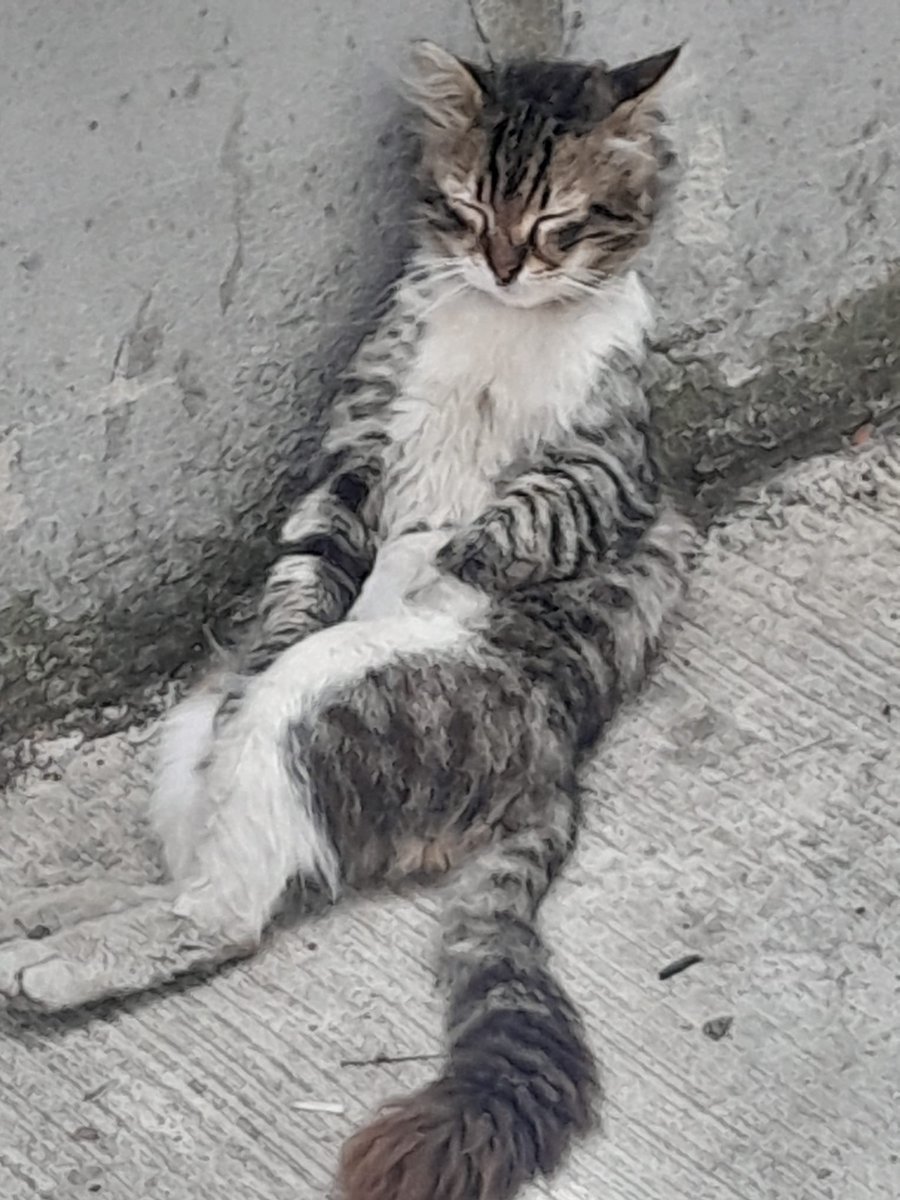 heveslimiyiz's tweet photo. ya sen neden bu kadar dertlisin ve böyle oturuyosun https://t.co/74bCIRwk5t