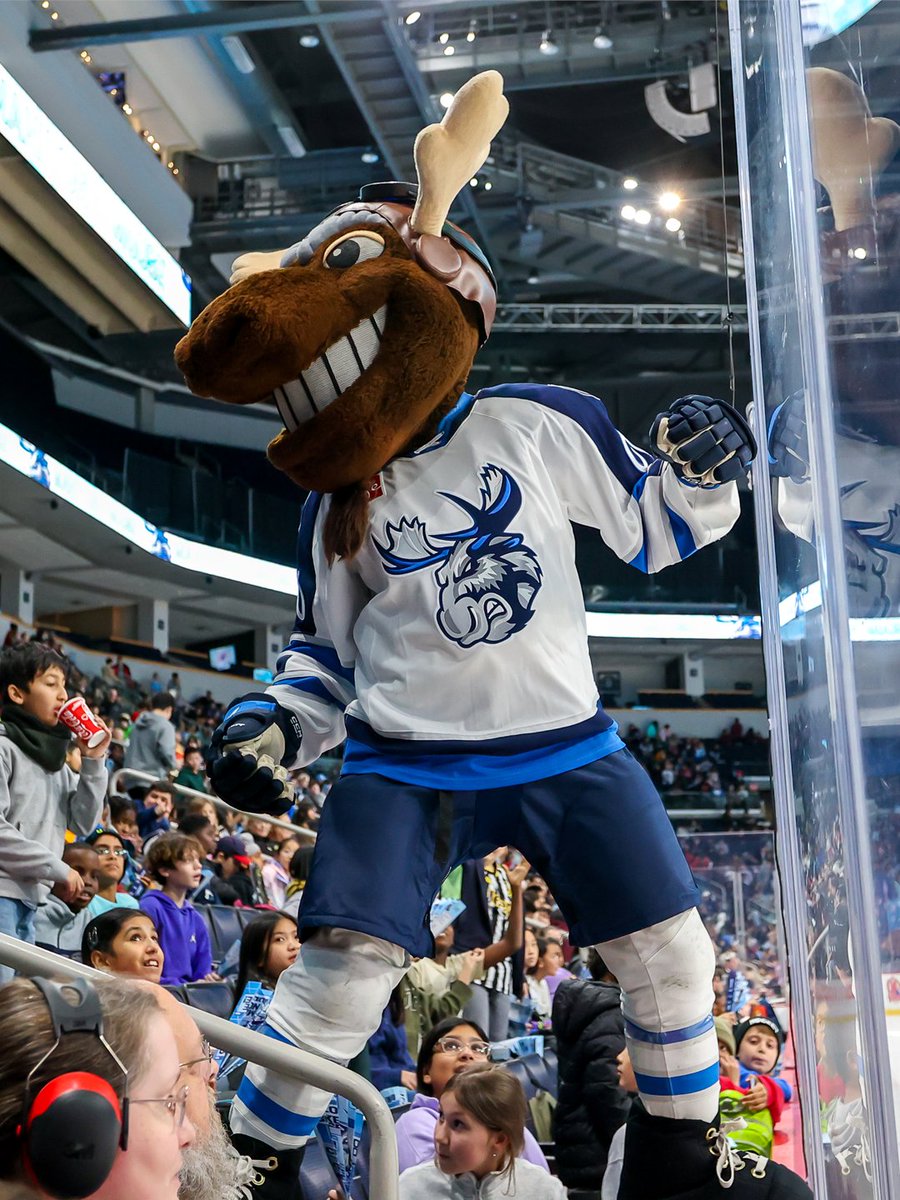 ManitobaMoose's tweet photo. Happy national mascot day to the coolest Moose we know! https://t.co/JX6hEvtWh3