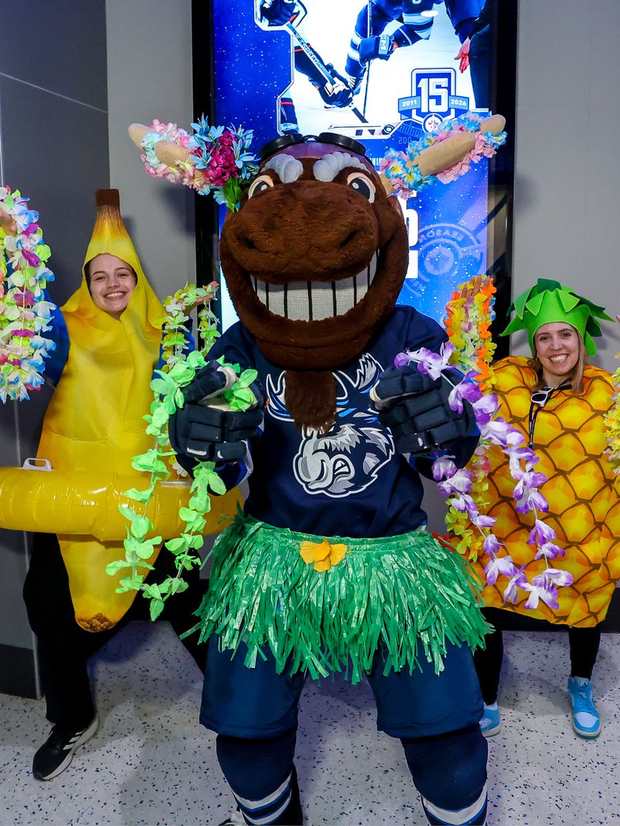 ManitobaMoose's tweet photo. Happy national mascot day to the coolest Moose we know! https://t.co/JX6hEvtWh3