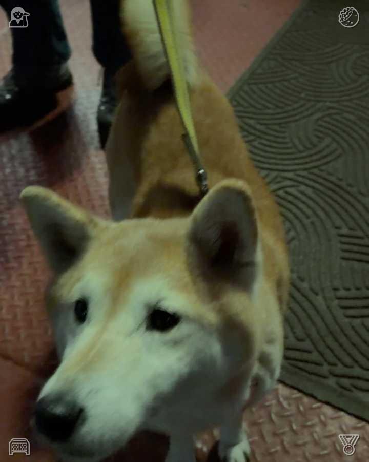 yui__ue's tweet photo. 一阵微风拂过，带来了大门附近花坛中盛开的水仙花香。埃莉诺闭上双眼，深呼吸着这股香气，脑海中浮现出母亲的笑声、读书时她轻声哼唱的旋律，以及她紧握着自己的手时那份温暖。 https://t.co/iiLpzeioT9
