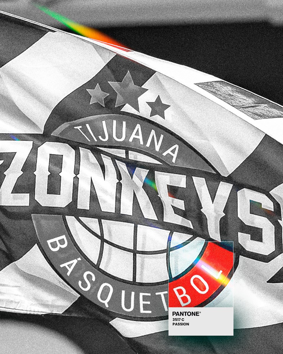 ZonkeysOficial's tweet photo. Los colores que nos unen 🖤🤍

#SomosZonkeys https://t.co/gq6e7KMF8Y