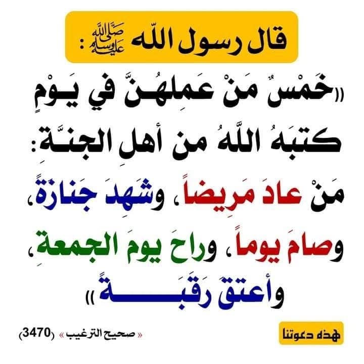 العقيدة الصحيحة📚 tweet media